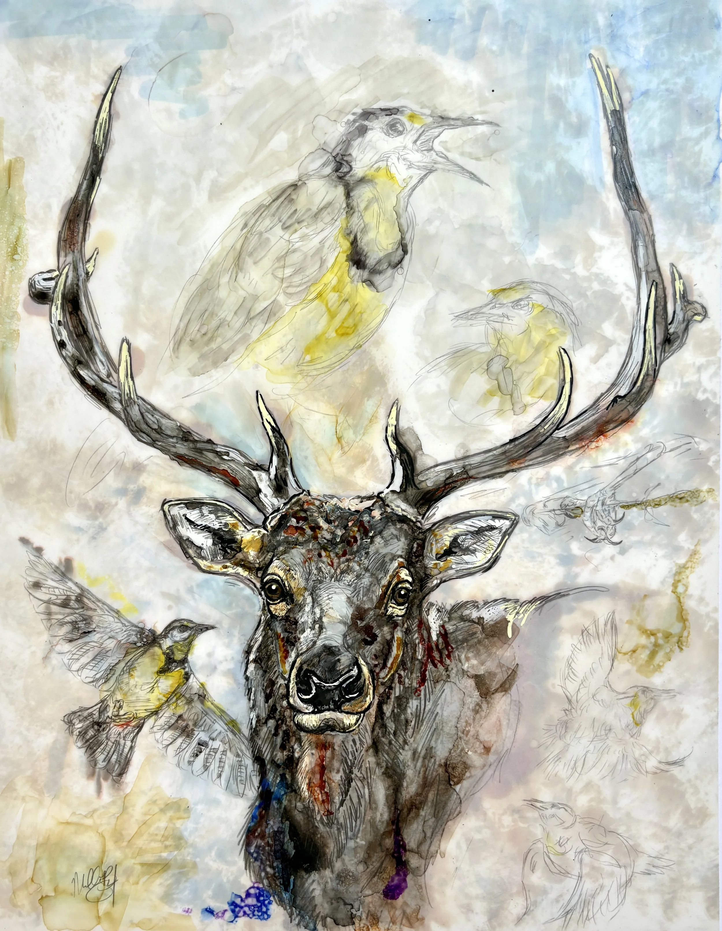 Elk and Meadowlarks