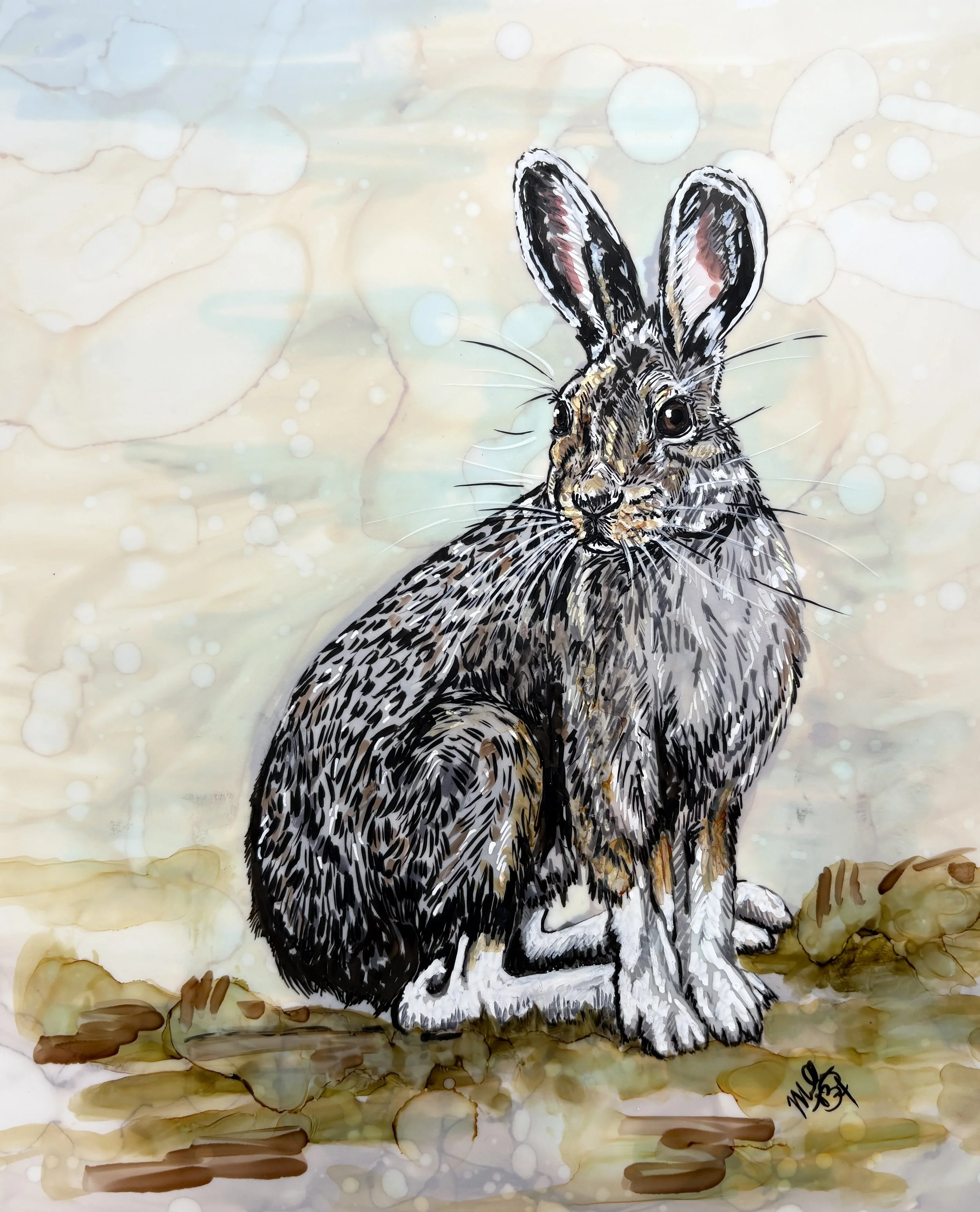 Summer Snowshoe Hare