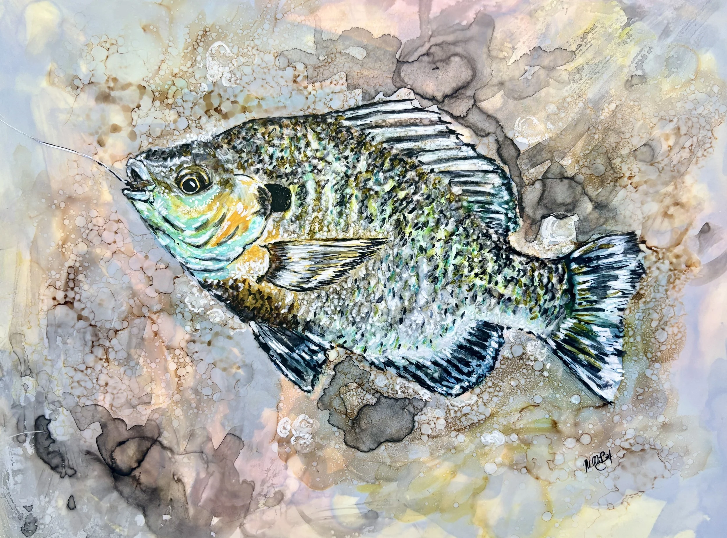 Bubbly Bluegill