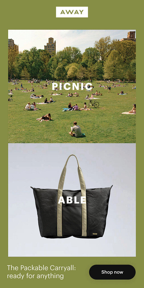 Packable_Tote_Picnic_PaidSocial_Pinterest_1x2.jpg