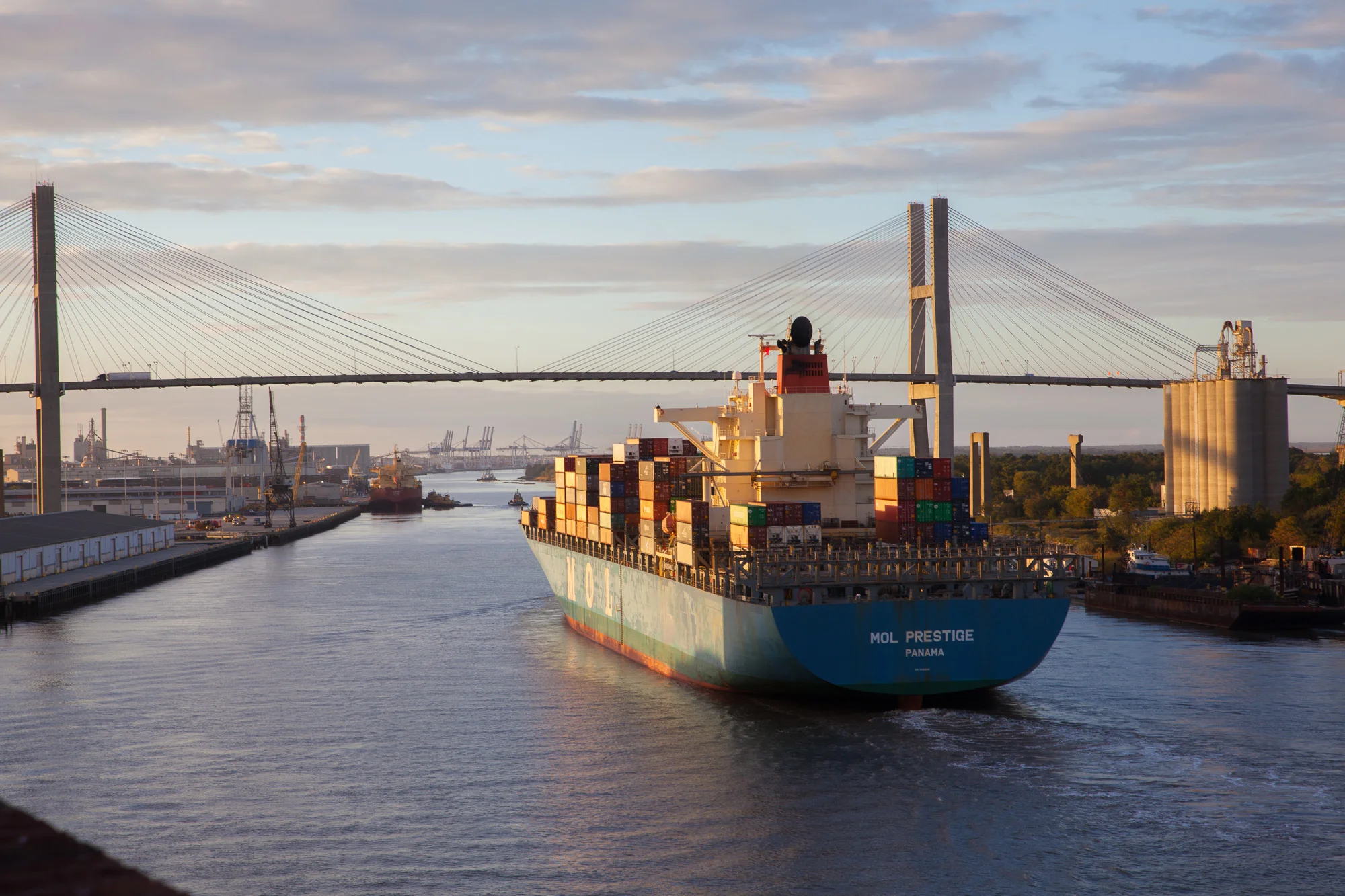 savannah-4.jpg