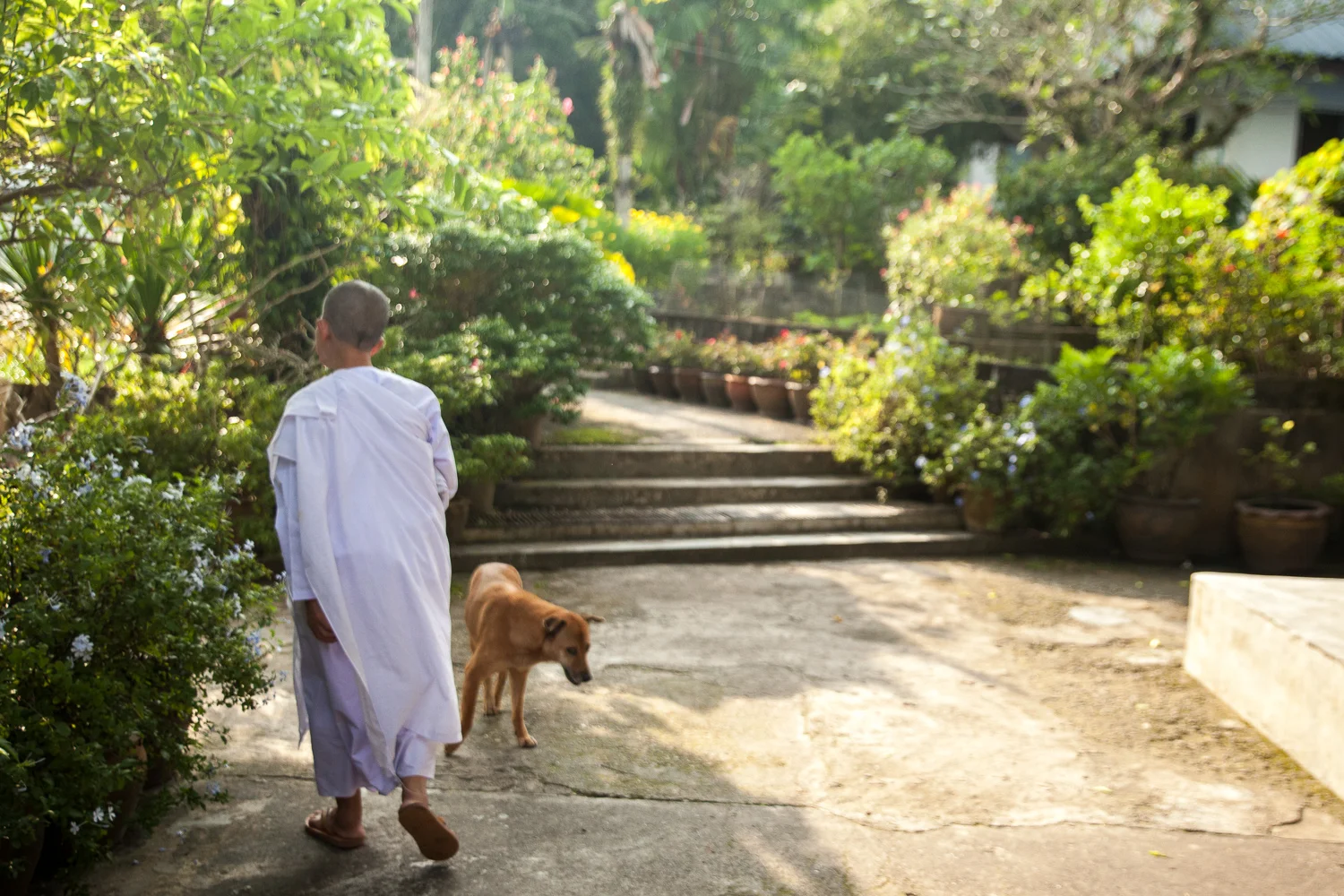 phuket-2.jpg