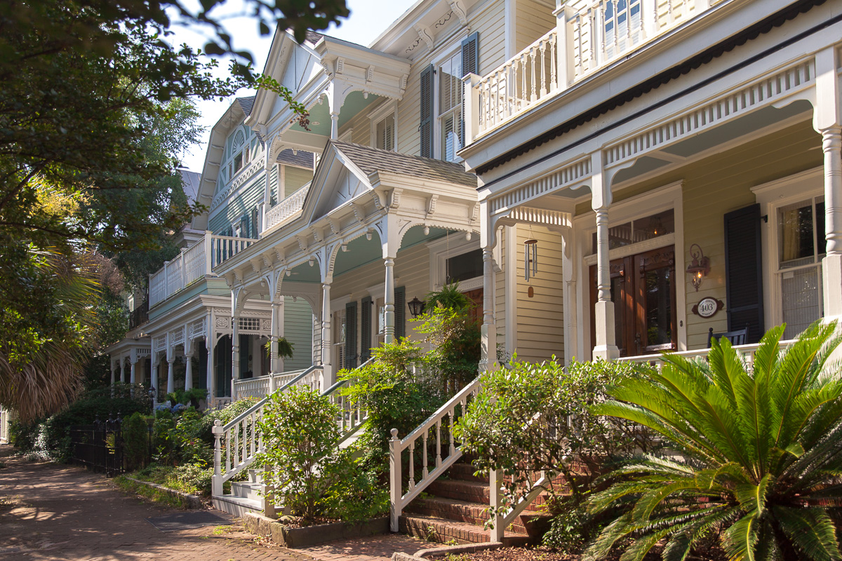 savannah-2.jpg