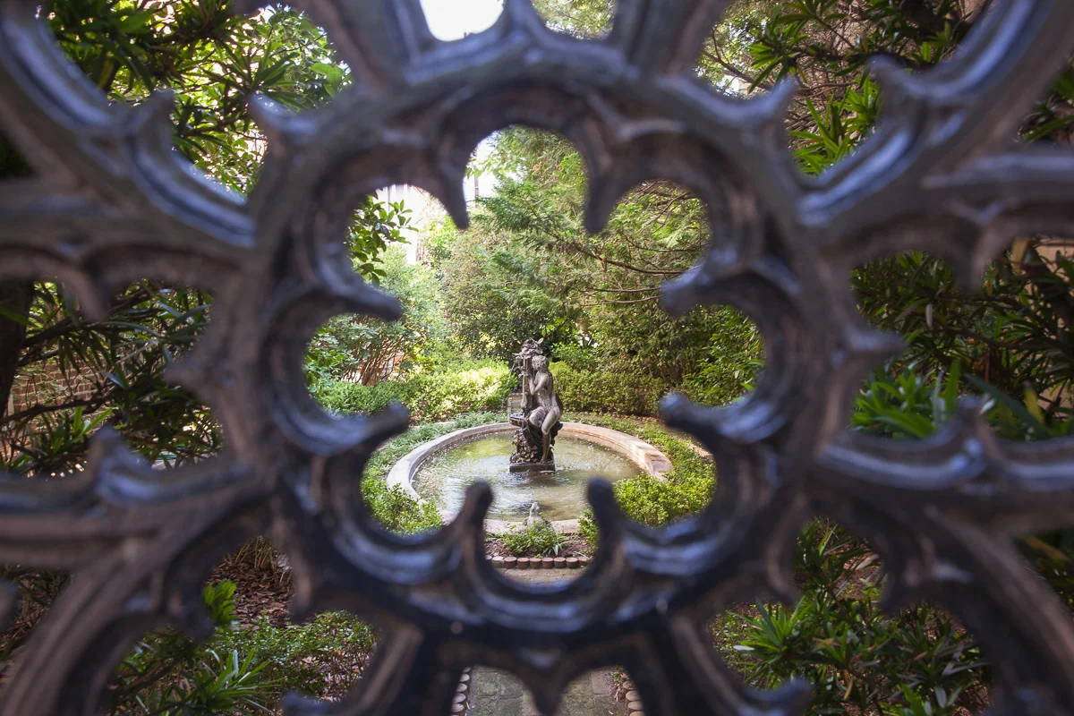 savannah-3.jpg