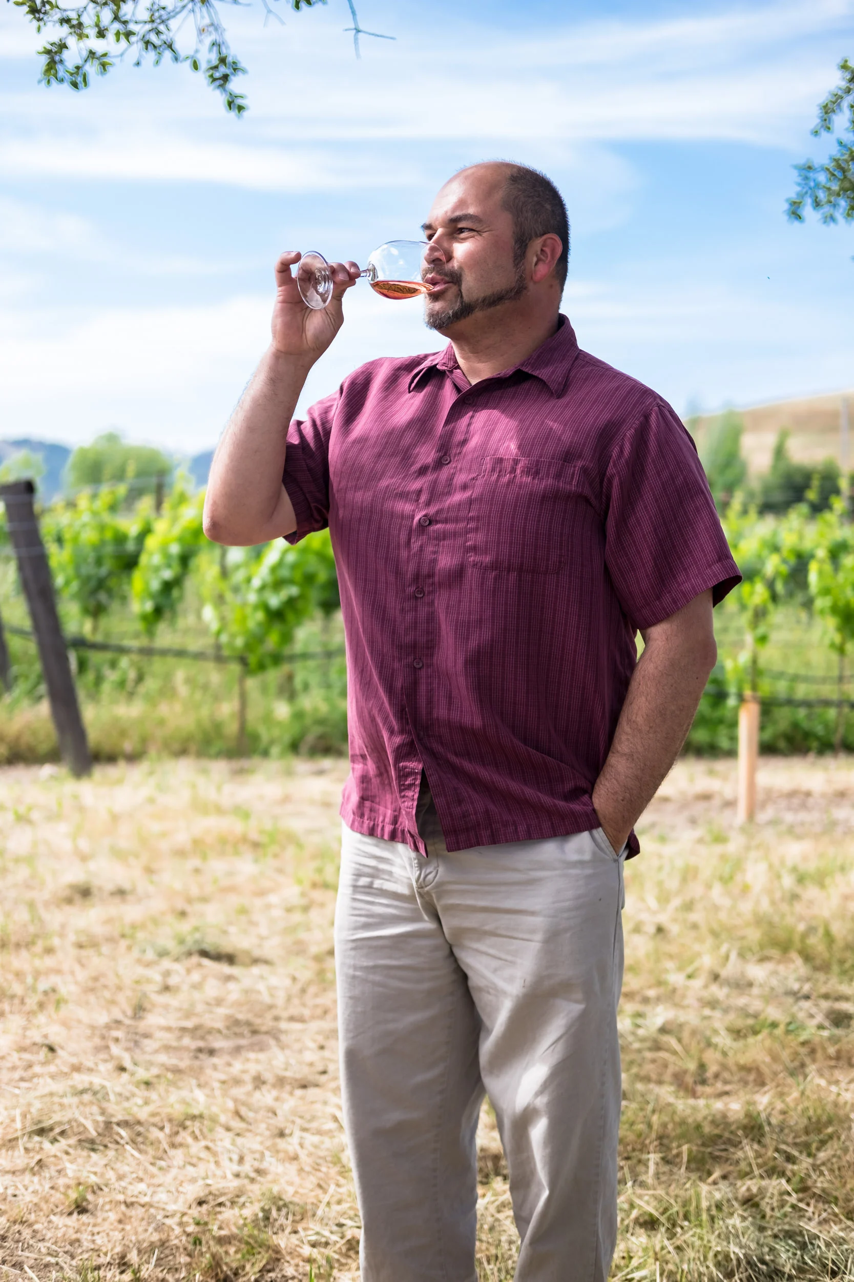 winegrowing.jpg