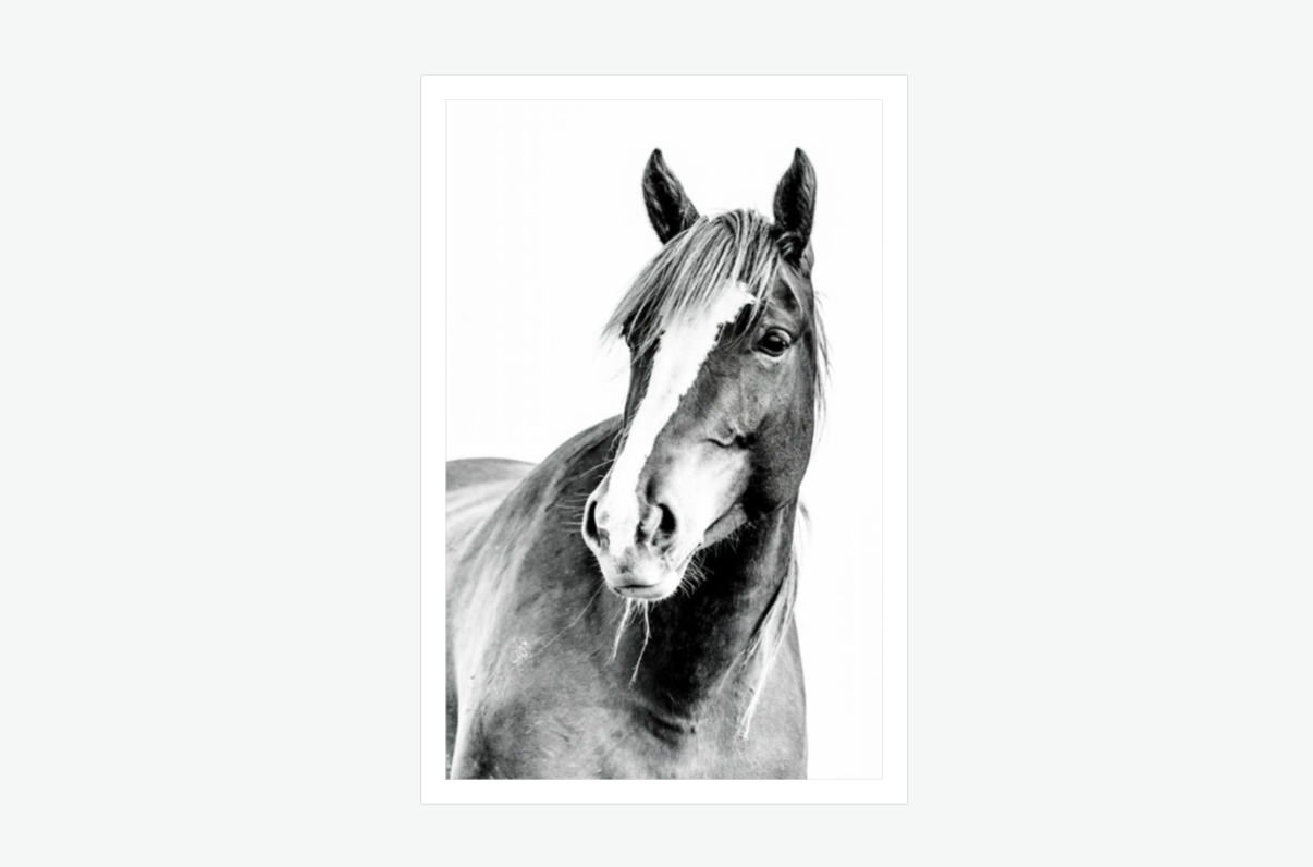 legacy - wild horse wall art print.png