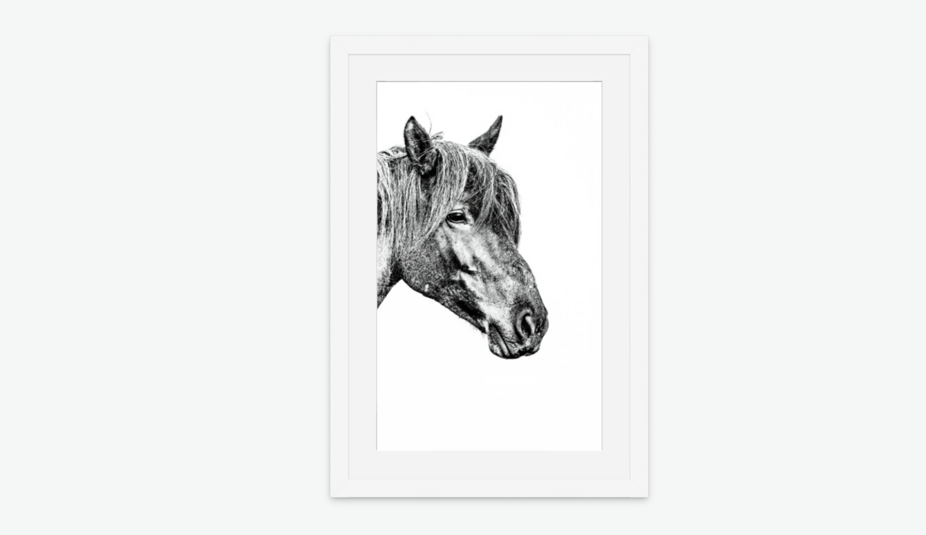 unbroken - wild horse wall art print white frame.png