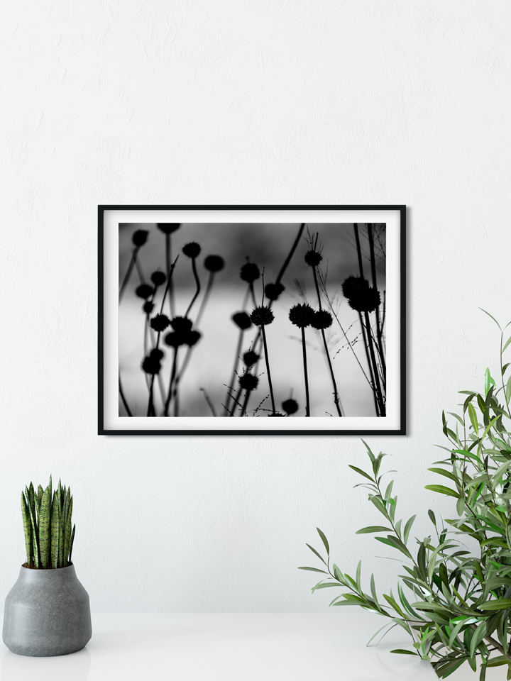 abstractflowersmall.jpg