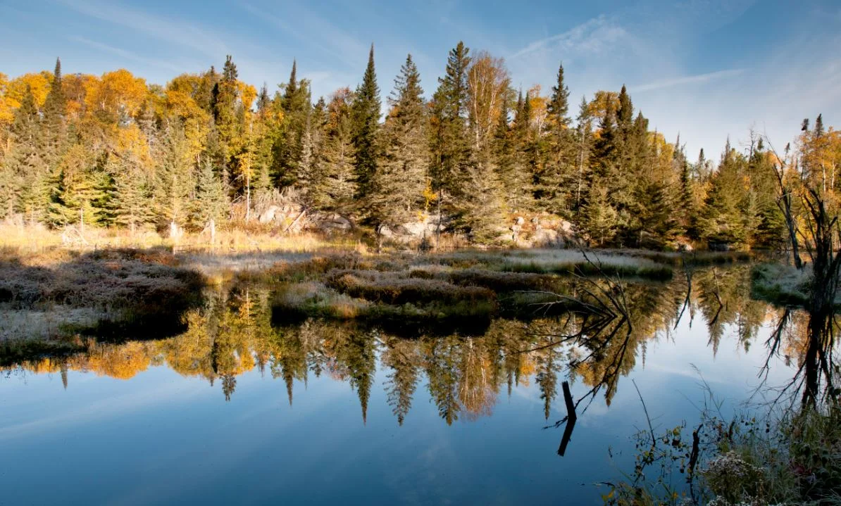 Landscape in Ely, MN.