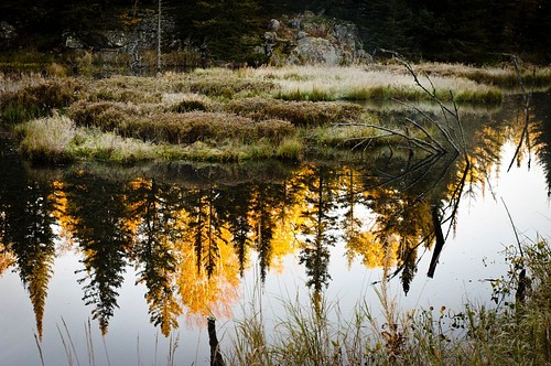 Another Landscape in Ely, MN.