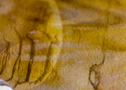 Close-up of a small portions of the print to show the paper's texture