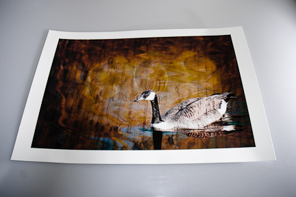 Two 13x19 inch prints from my Migration series printed on Epson's Velvet Fine Art Paper
