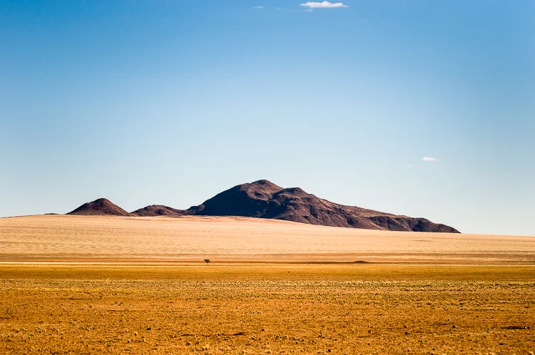 "Other-worldly" landscape in the Namibrand