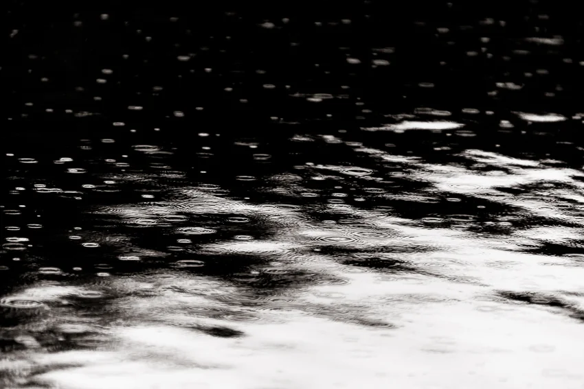 Raindrops on Water I