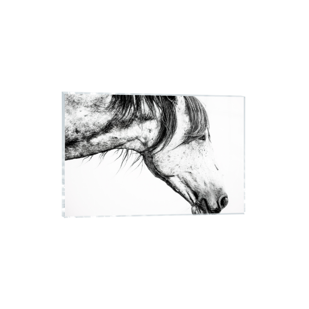 ptq_17_3_0_7_16162_10774_0_false_ffffff_0_0_.png