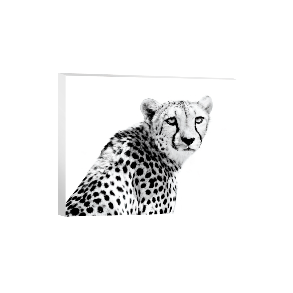 ptq_7_6_882_0_7120_5696_0_false_ffffff_0_0_.png