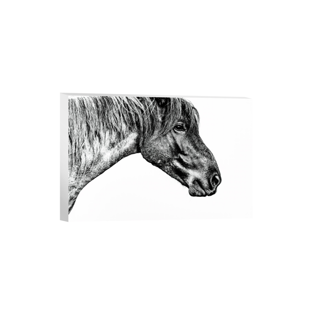 ptq_7_3_0_7_16162_10774_0_false_ffffff_0_0_.png