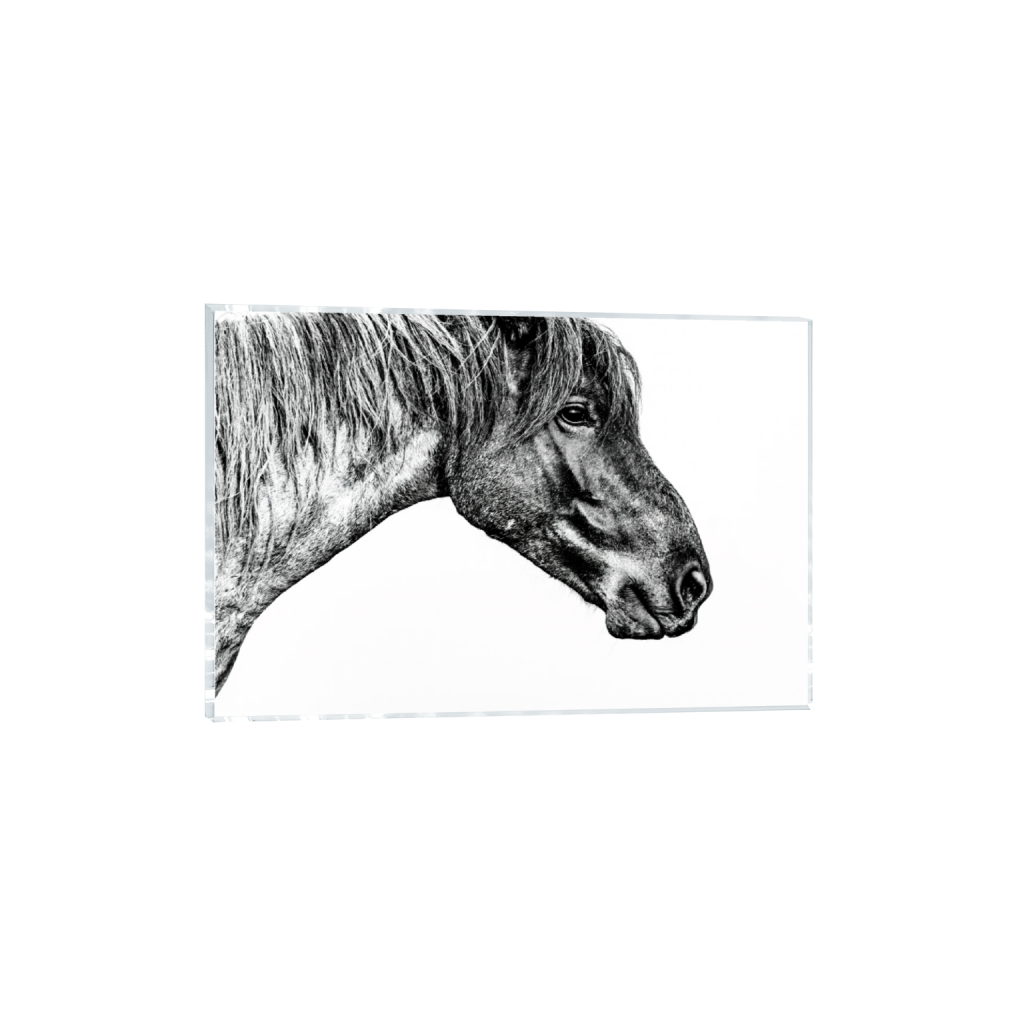 ptq_17_3_0_7_16162_10774_0_false_ffffff_0_0_.png