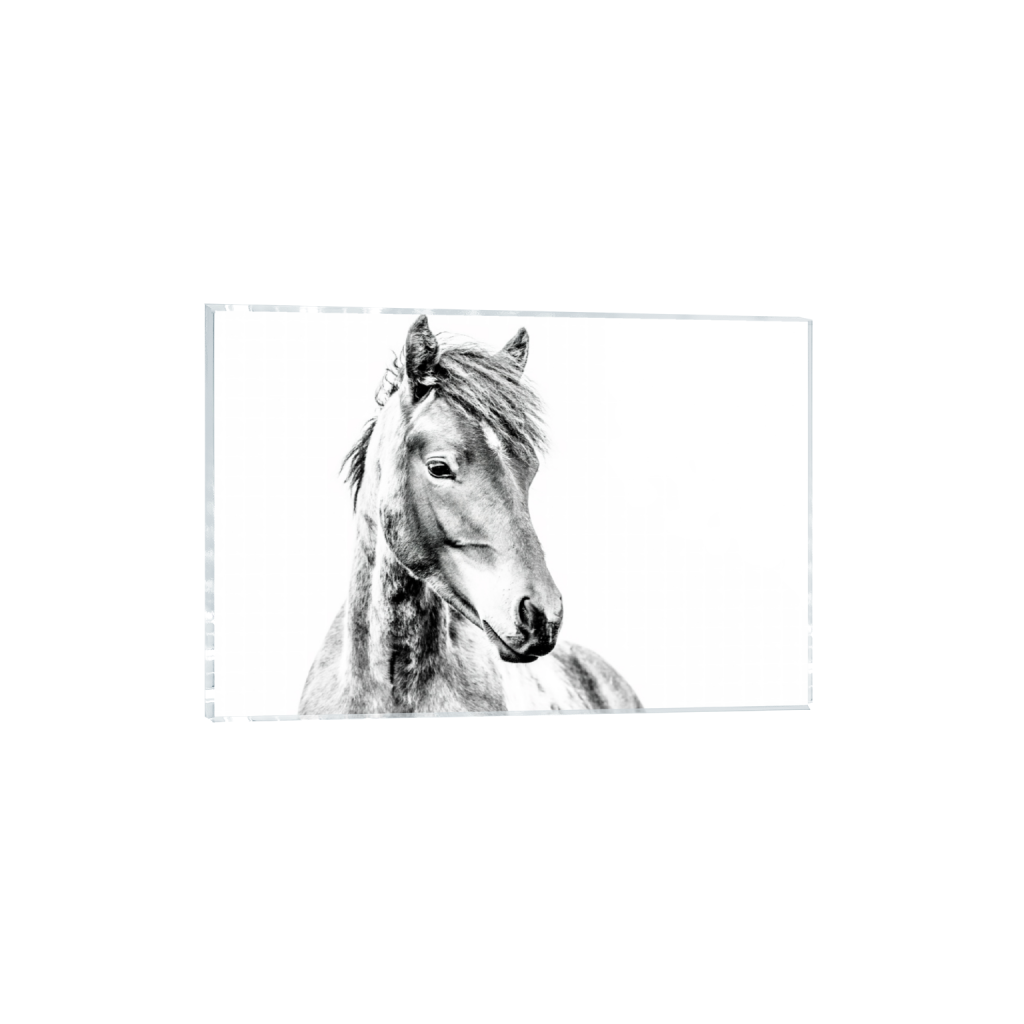 ptq_17_3_0_6_13500_9000_0_false_ffffff_0_0_.png