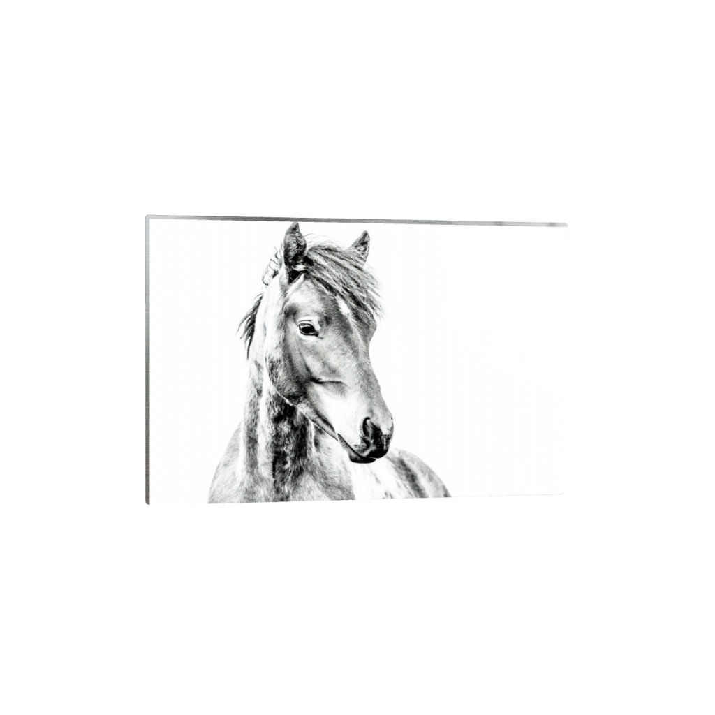 ptq_13_3_0_6_13500_9000_0_false_ffffff_0_0_.png