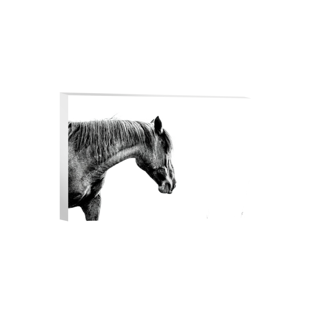 ptq_7_3_0_5_14647_9764_0_false_ffffff_0_0_.png