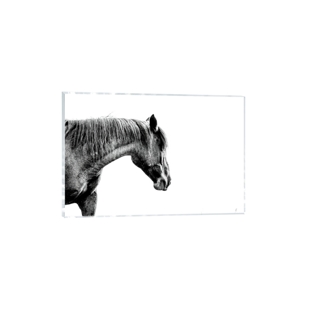 ptq_17_3_0_5_14647_9764_0_false_ffffff_0_0_.png
