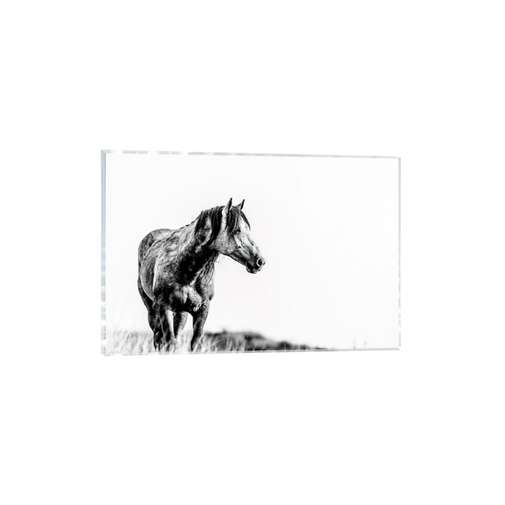 ptq_17_3_0_7_16162_10774_0_false_ffffff_0_0_.png