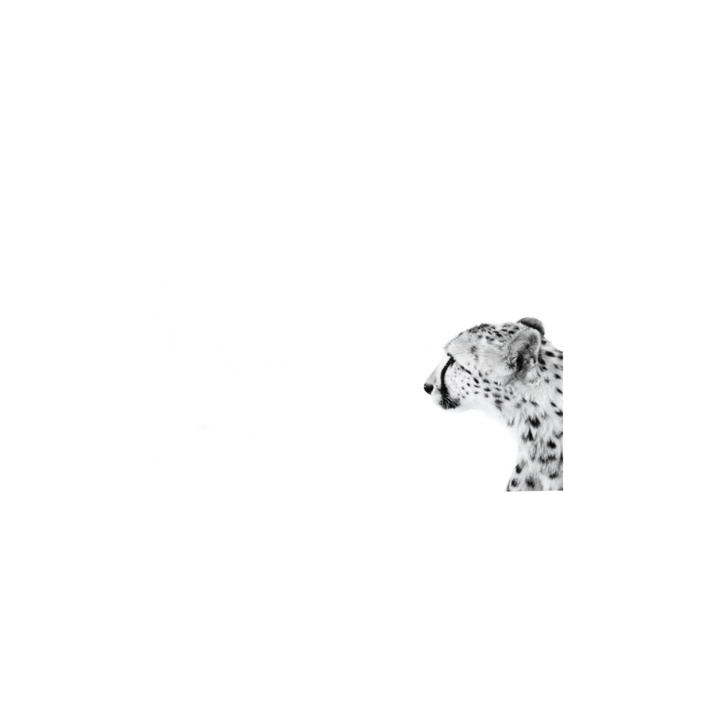 ptq_34_3_31_0_8544_5696_0_false_ffffff_0_0_.png