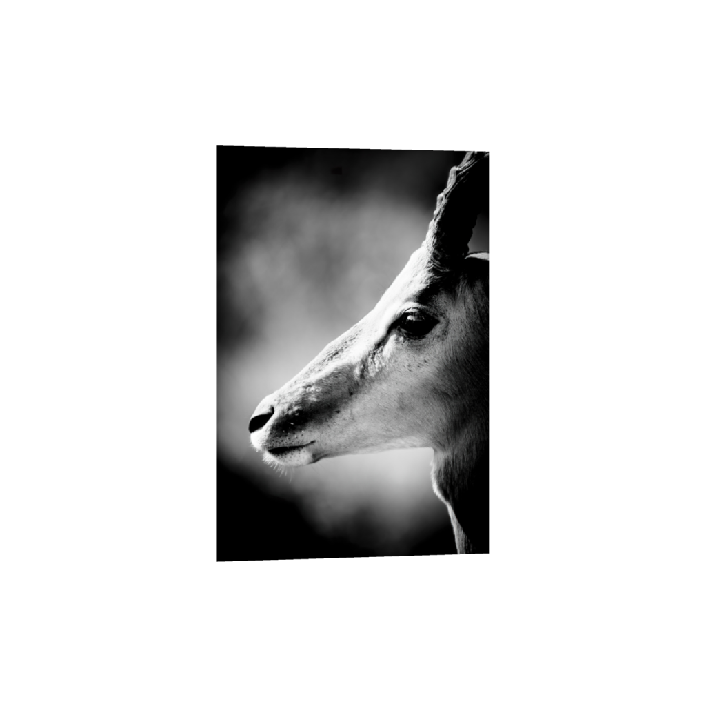 ptq_34_3_0_0_5354_8032_0_false_ffffff_0_0_.png
