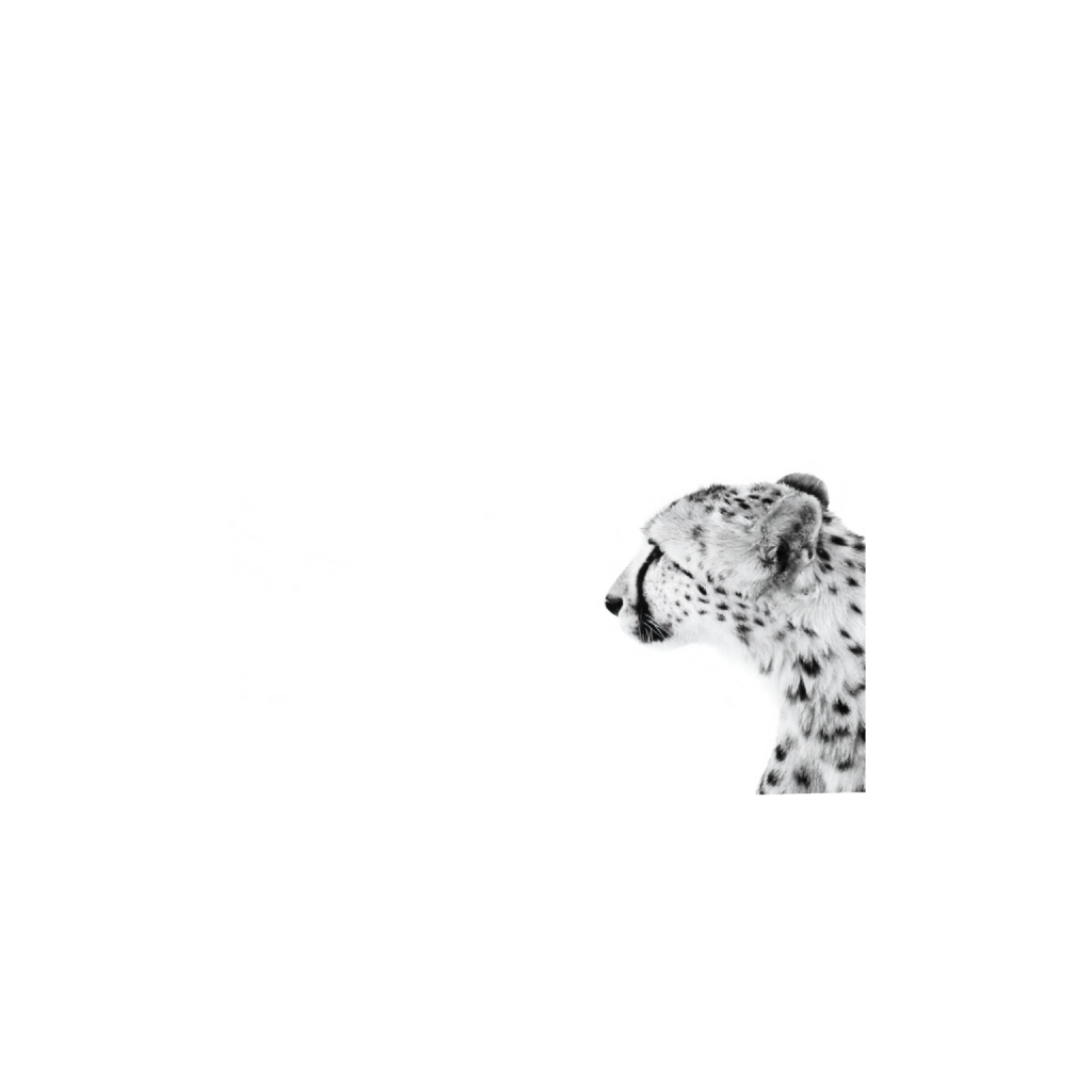 ptq_34_6_1455_0_7120_5696_0_false_ffffff_0_0_.png