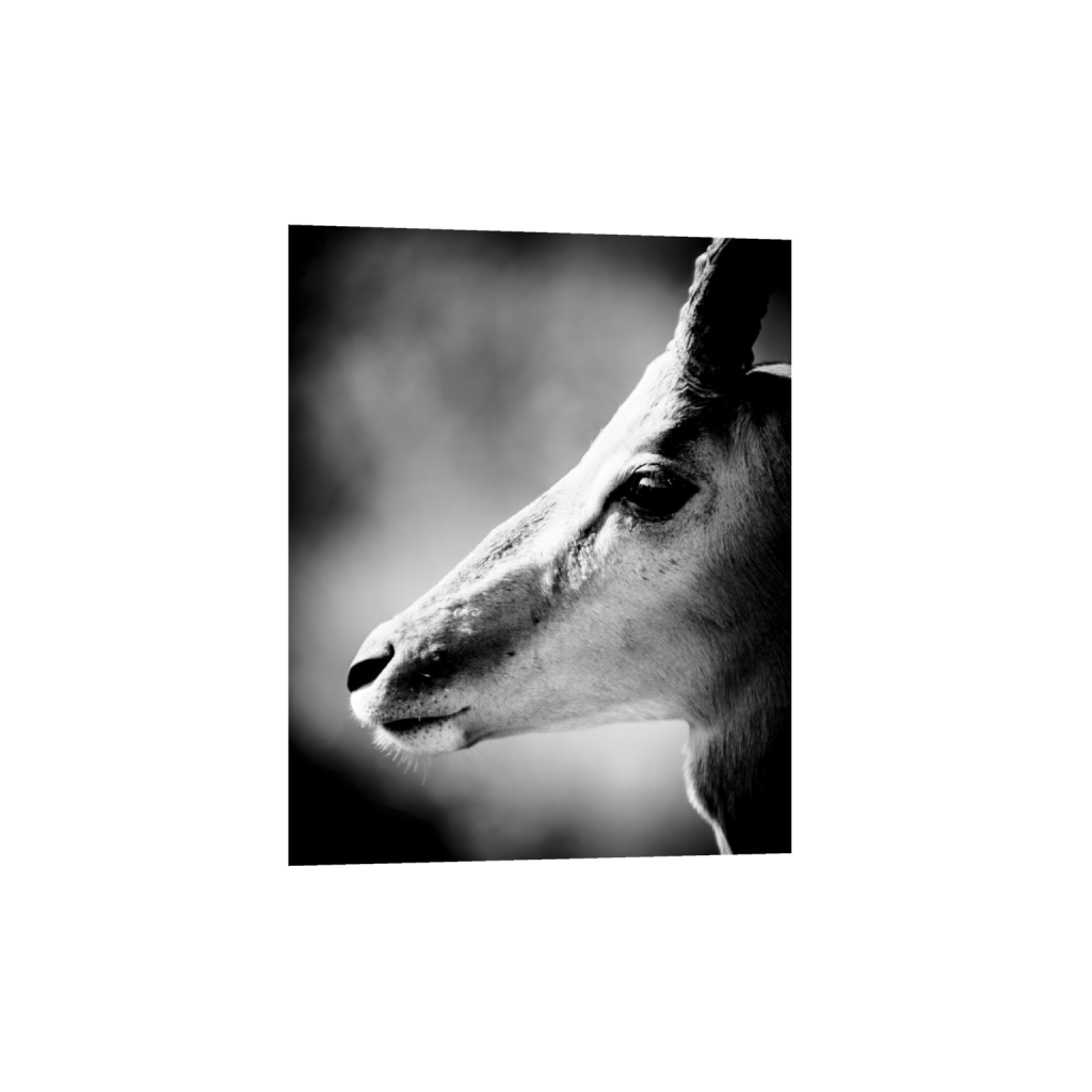 ptq_34_6_0_669_5355_6693_0_false_ffffff_0_0_.png