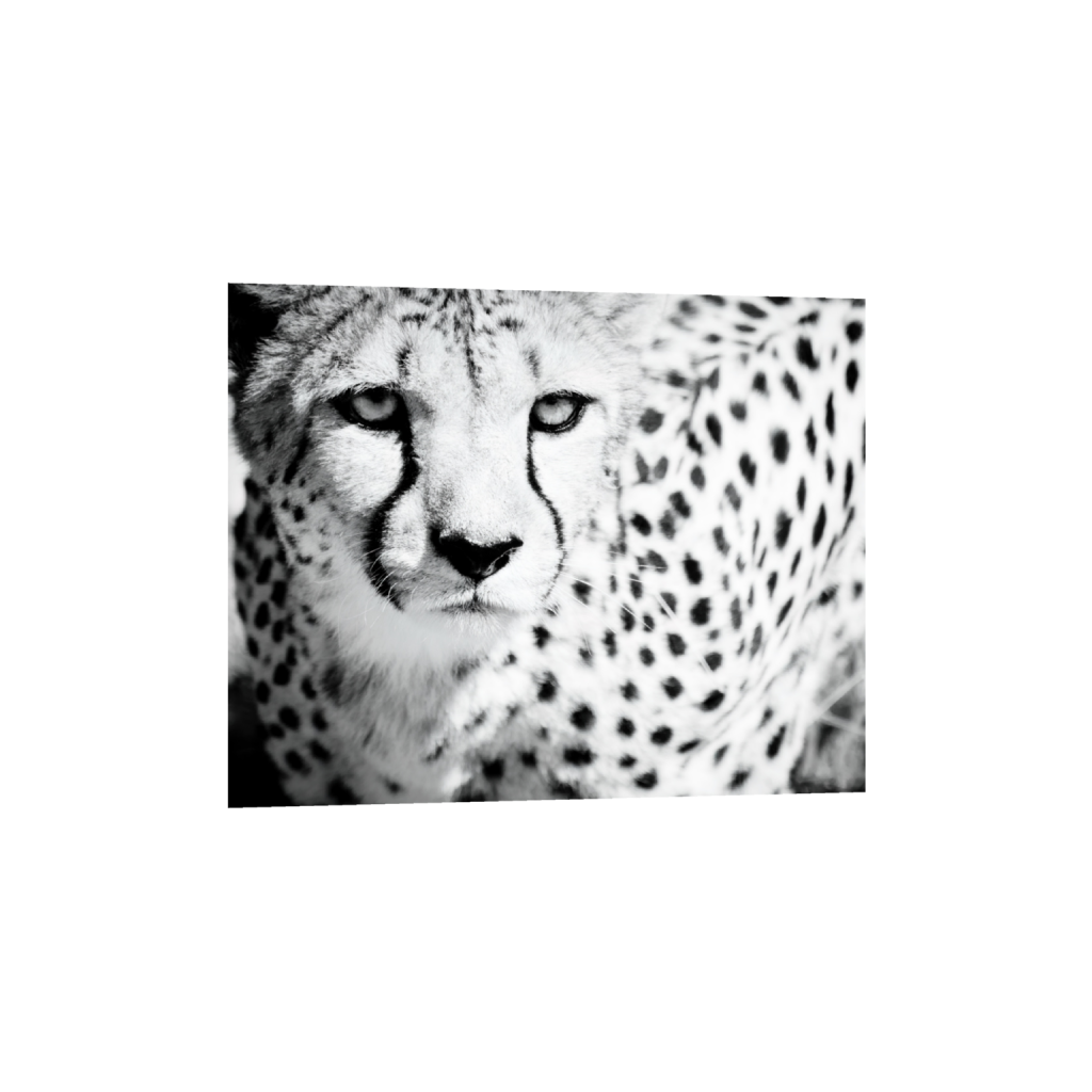 ptq_34_6_0_0_13501_10801_0_false_ffffff_0_0_.png