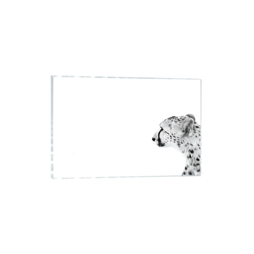 ptq_17_3_31_0_8544_5696_0_false_ffffff_0_0_.png