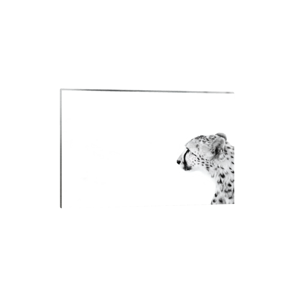ptq_13_3_31_0_8544_5696_0_false_ffffff_0_0_.png