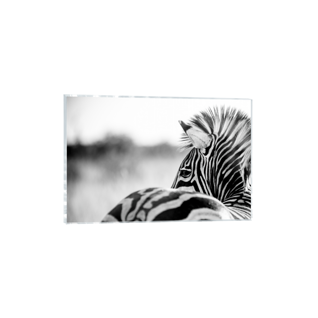 ptq_17_3_0_4_8960_5973_0_false_ffffff_0_0_.png