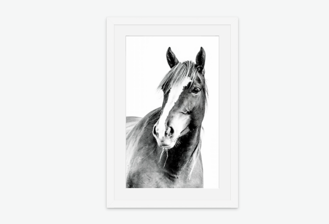 legacy - wild horse wall art print white frame.png