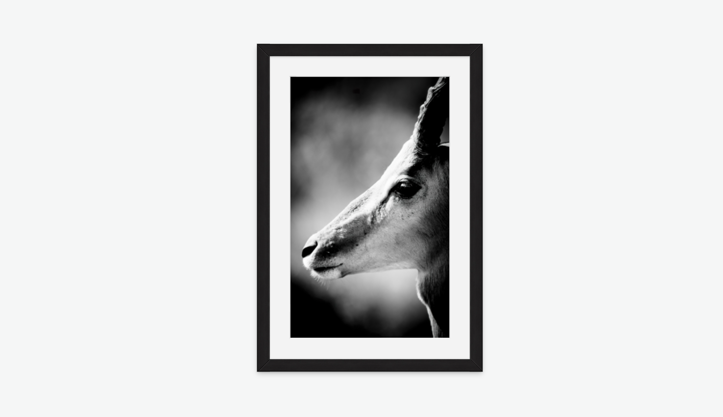 The Watchman