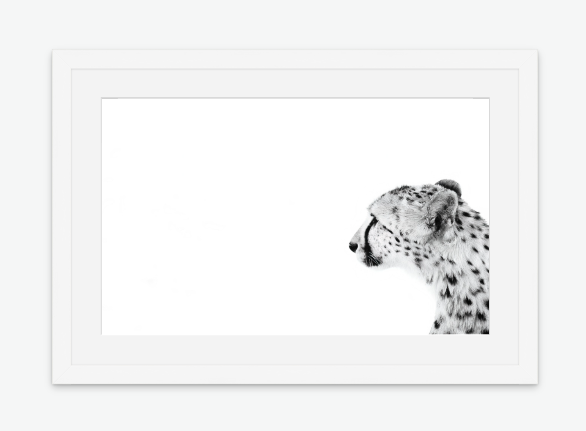 The Pause - Cheetah Wall art print framed white.png