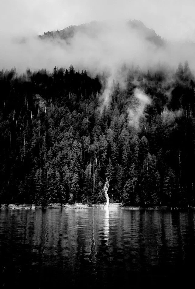 Northern Wilds