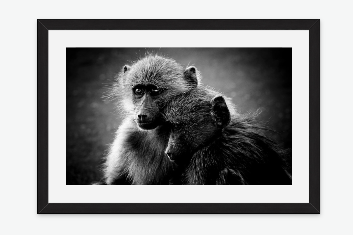Friends wall art print black frame.png