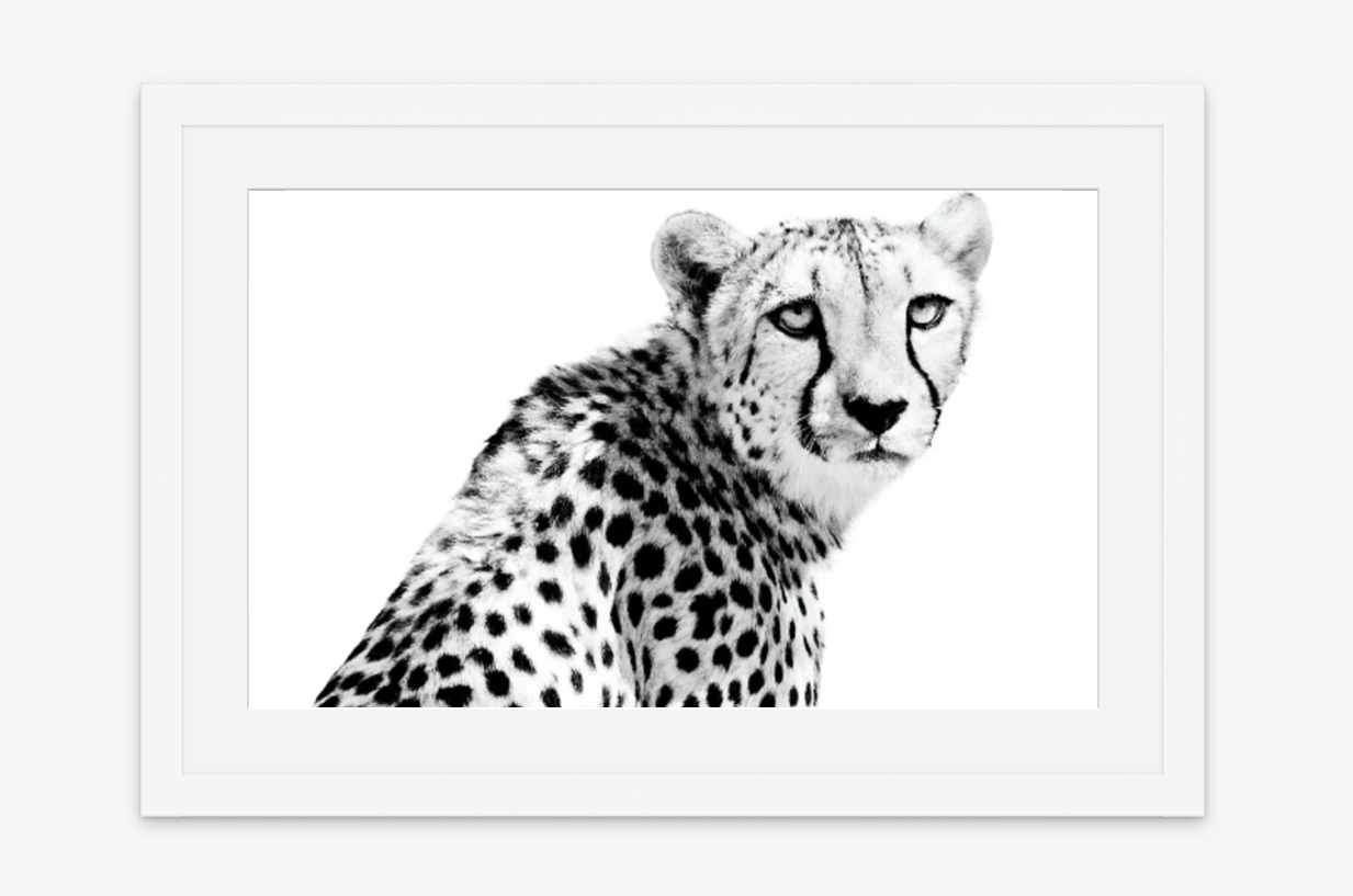 silent strength - cheetah wall art prints white frame.png