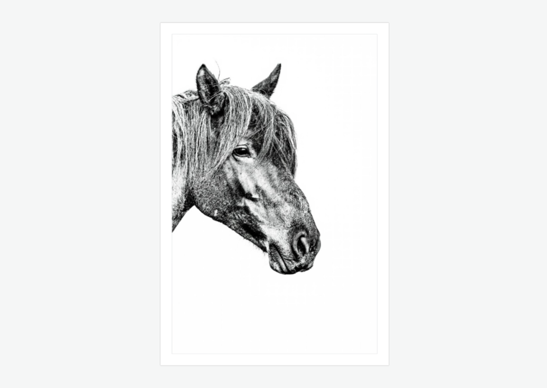 unbroken - wild horse wall art print.png