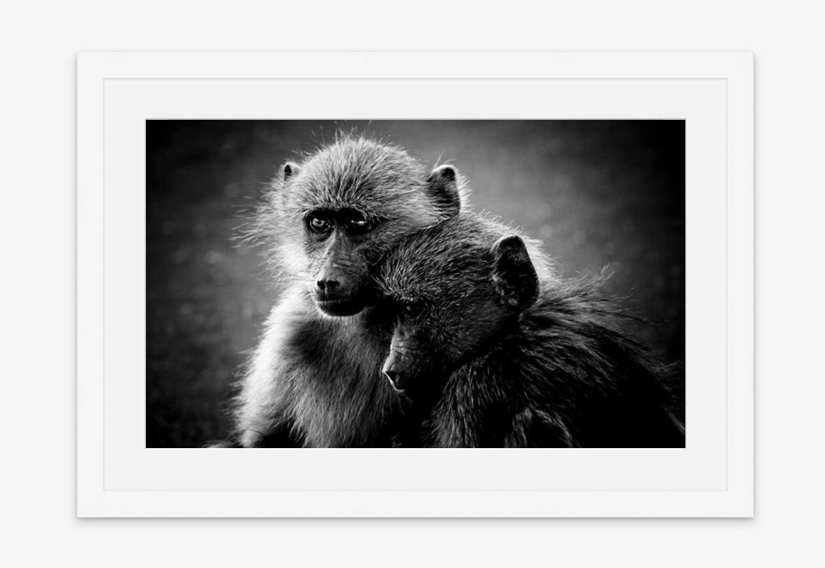 Friends wall art print white frame.png