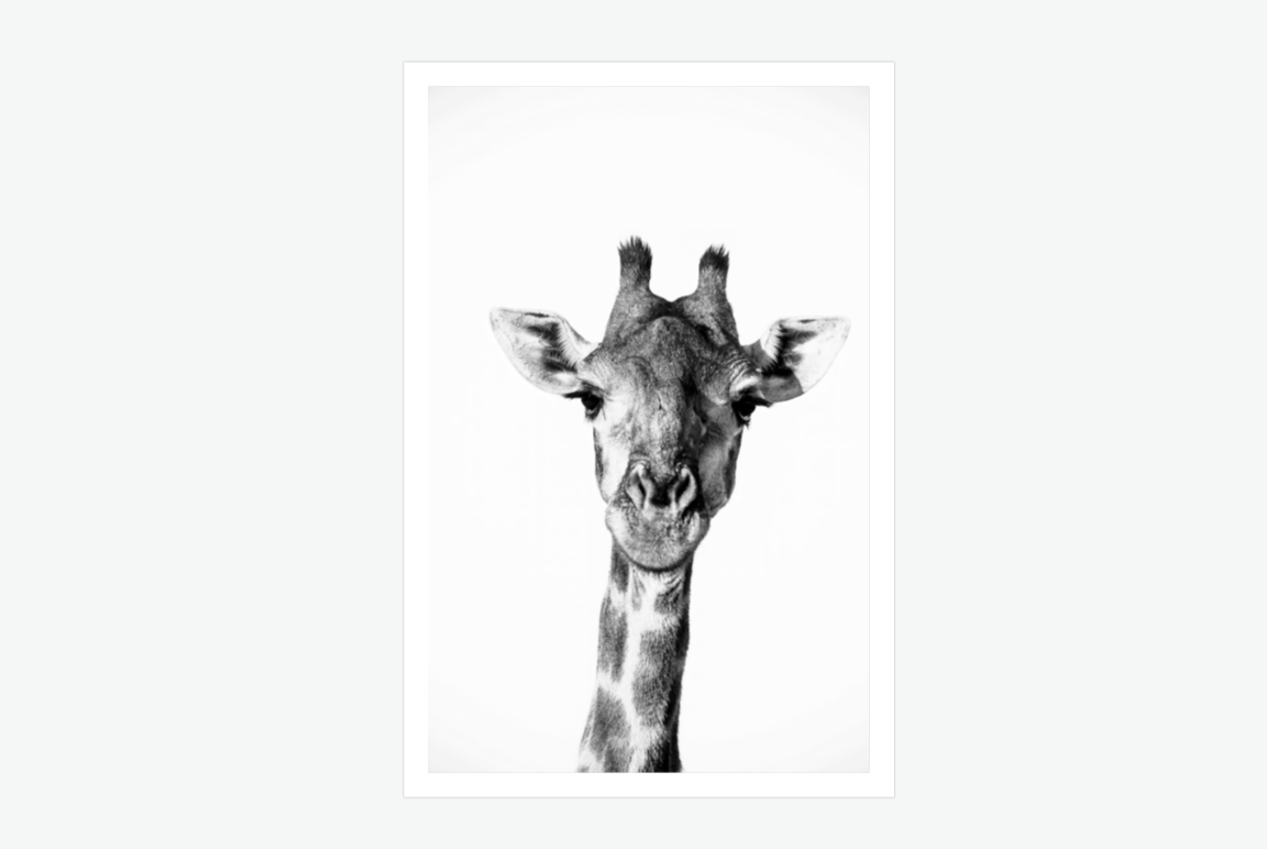 Timeless grace - giraffe wall art print.png
