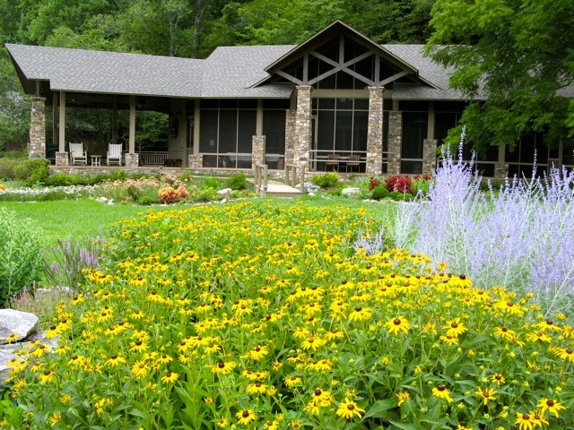 Branches Pavilion spring.jpg