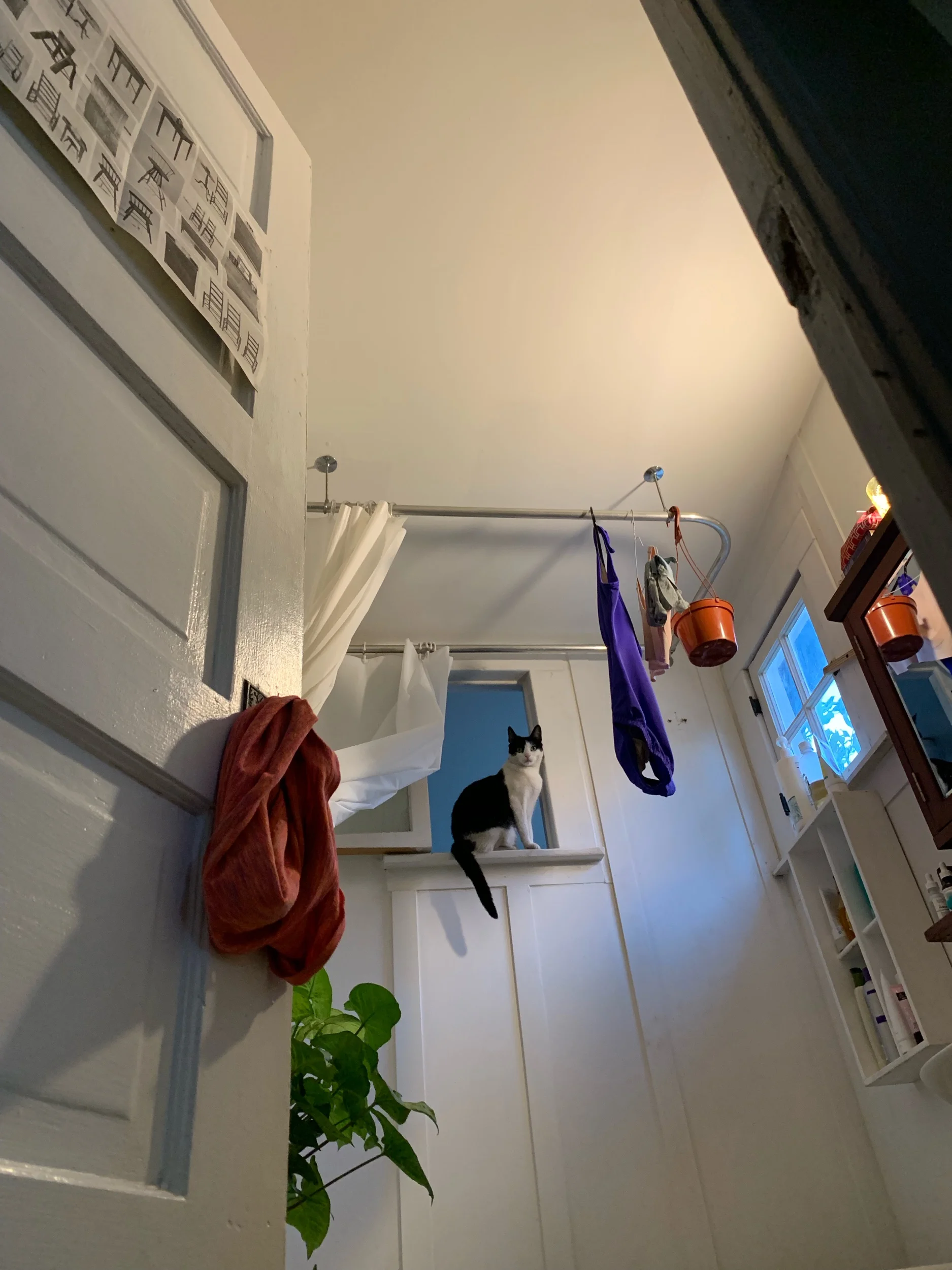 IMG_3905.jpeg