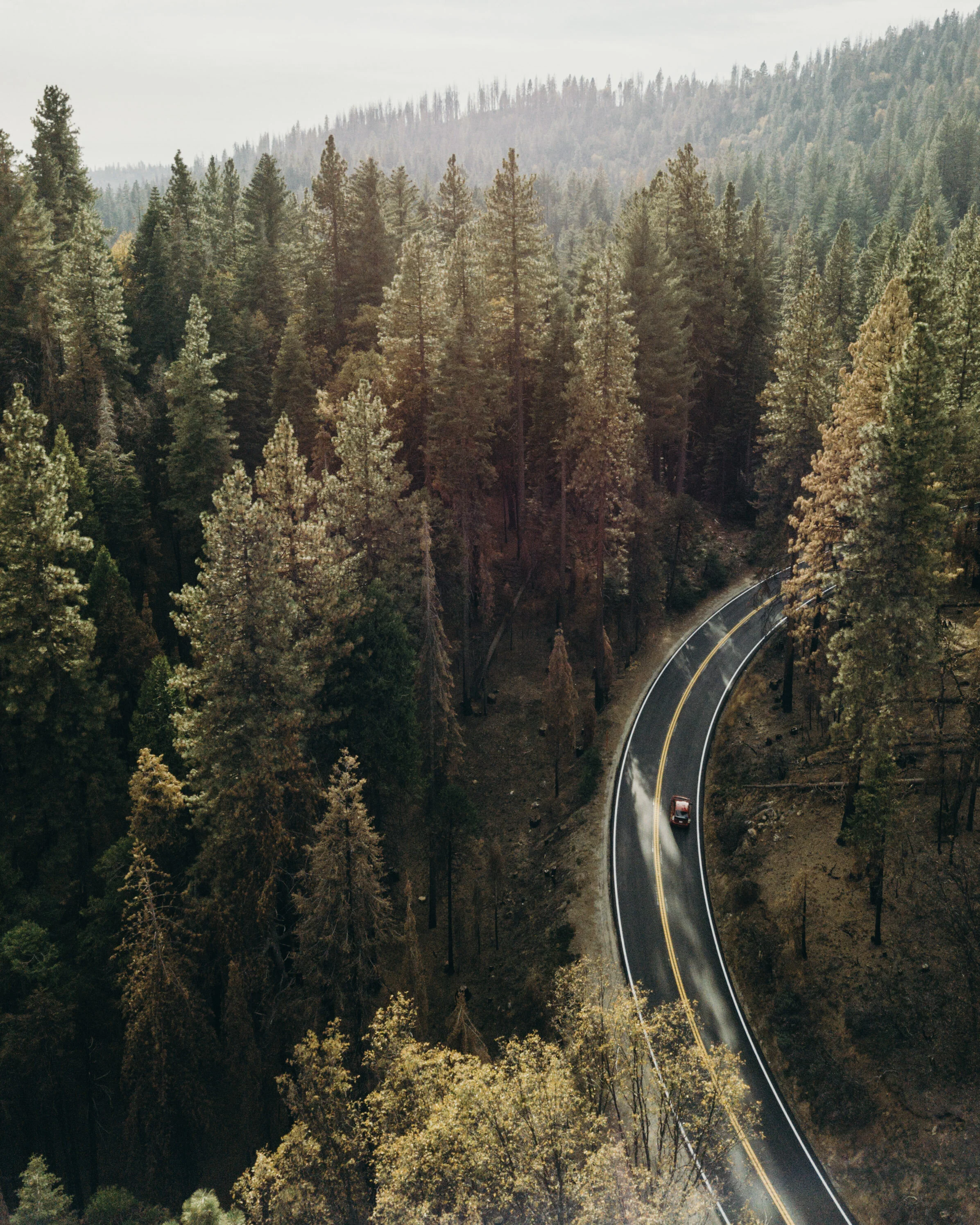 Grant Grove,  California 