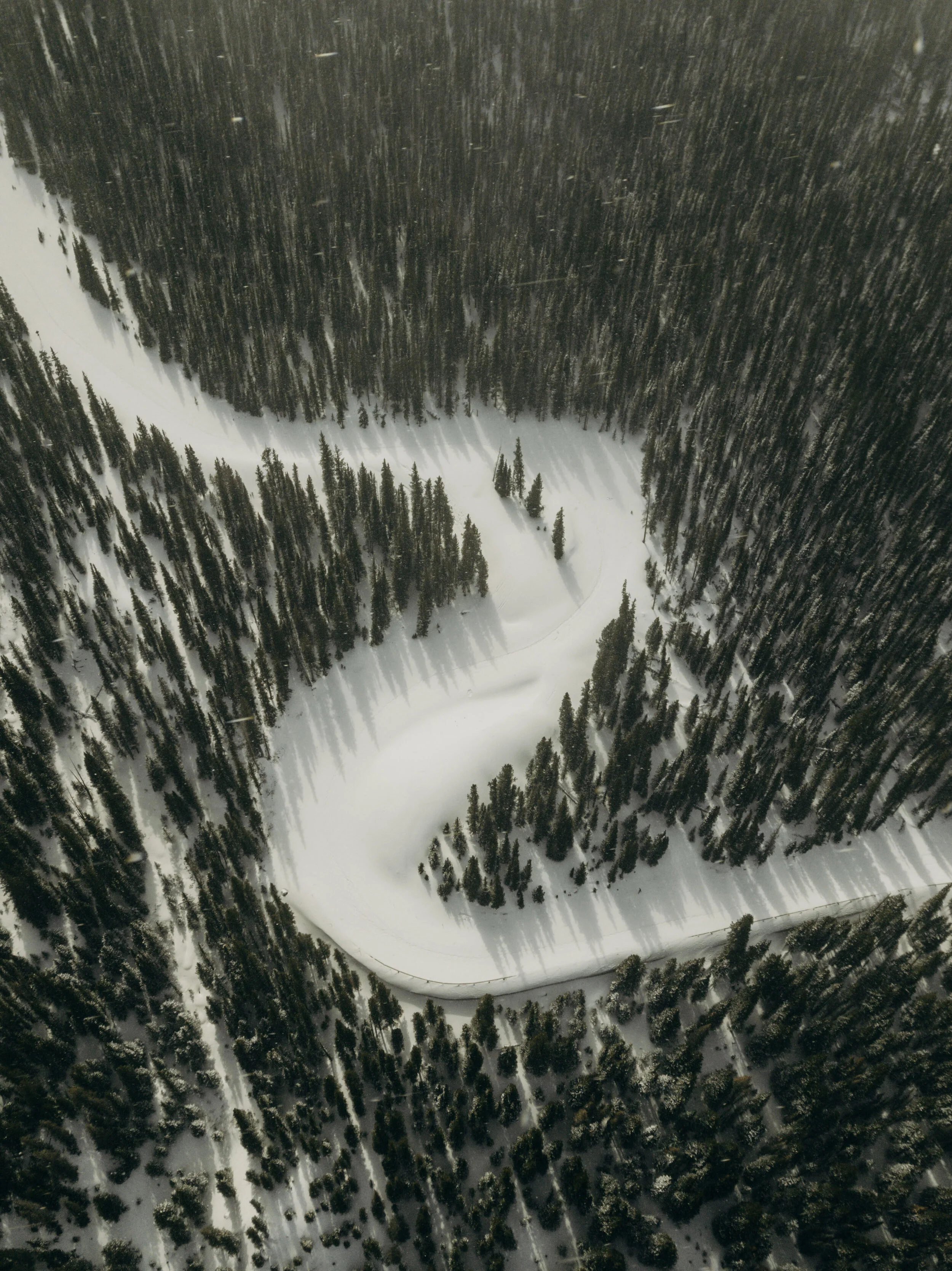 Guanella Pass, Colorado 