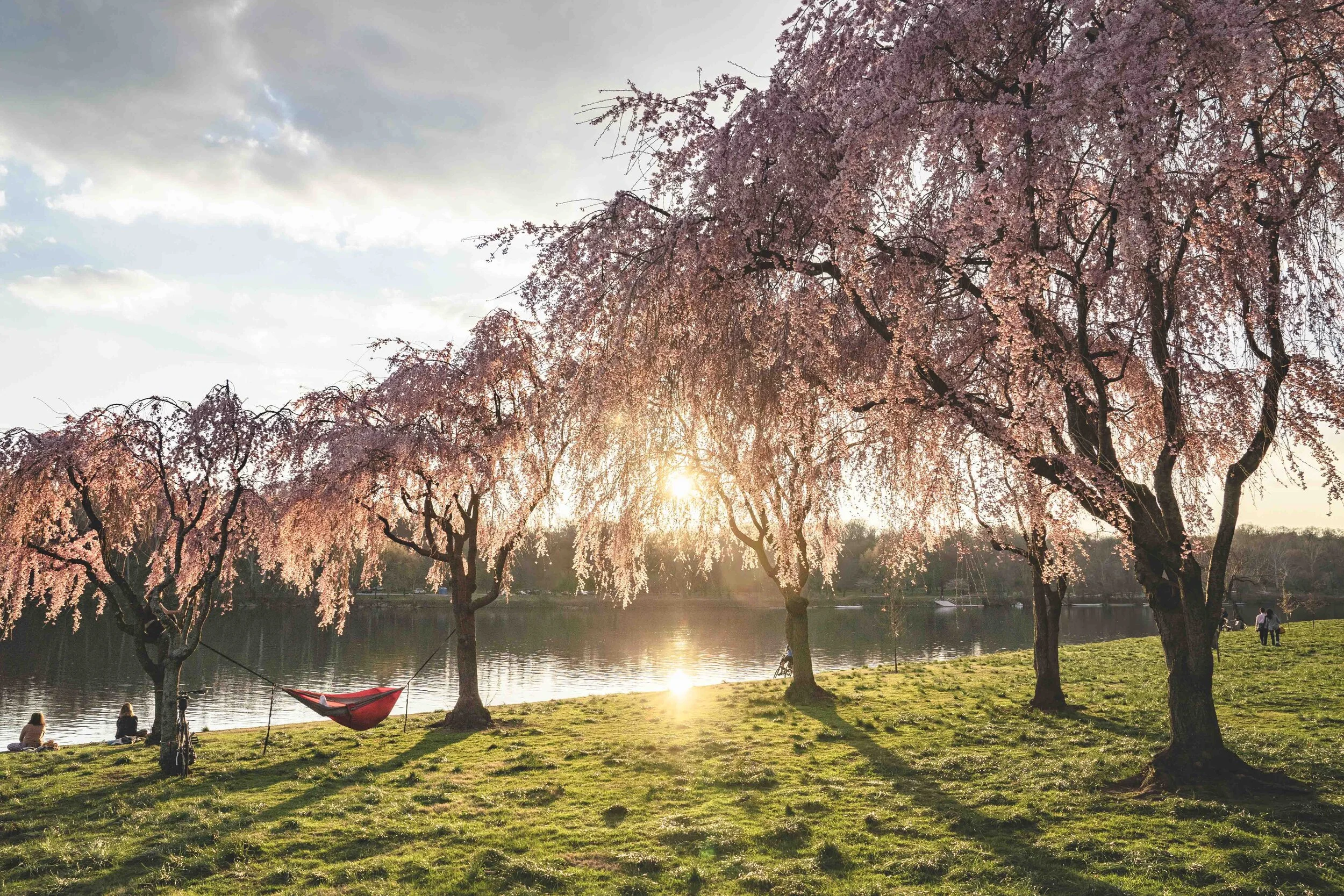 Kelly Drive, Philadelphia