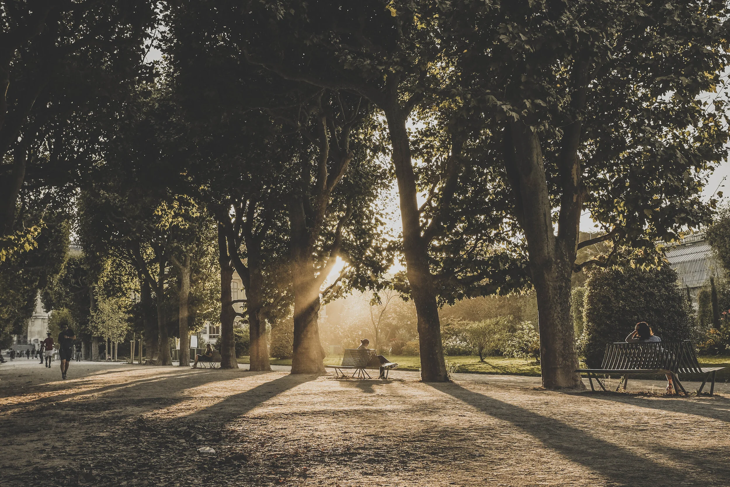 Jardin Des Tuileries,  Paris 